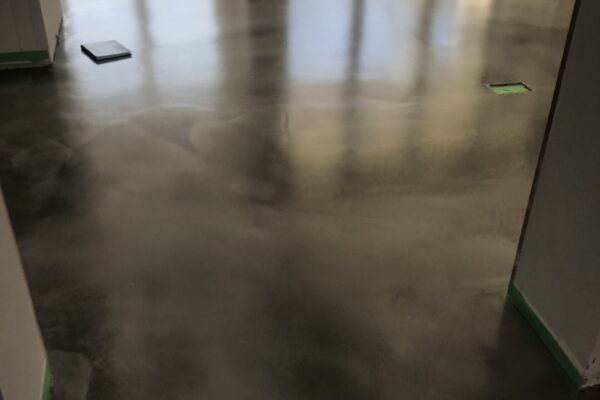 IMG_6211(1)